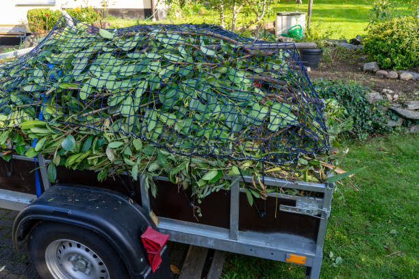 Best Estate Cleanout  in Fairfax, VA